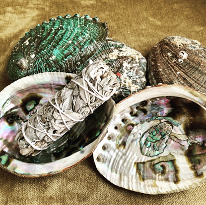 Picture of Abalone shell || Green Abalone Sea Shell || Sea Shell || smudge kit - Home Decor