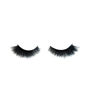 Picture of “A LITTLE BIT DRAMATIC” MARIANNA LASHES