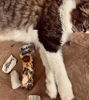 Picture of Yerba Santa & Alum Healing Kit.