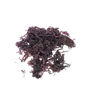 Picture of Purple Irish Moss (Chondrus Crispus) Raw Wildcrafted 2 oz