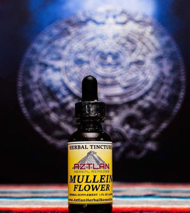 Picture of Mullein Flower Tincture 1oz