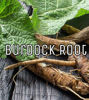 Picture of Burdock Root Capsules