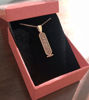 Picture of Egyptian Cartouche Necklace in 925 Sterling Silver | Hieroglyphic Jewelry