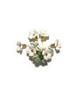 Picture of Brooch with stem flowers and pearls