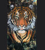 Picture of Beautiful Extinction: Striking Tiger-Inspired Acrylic Painting by Durrell Hunter | 24x36 in