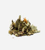 Picture of Sin Dolor Herbal Tea Blend