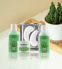 Picture of Christmas Cactus Mini Bundle • Skincare Essentials for All Skin Types