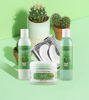 Picture of Christmas Cactus Bundle • Limited Edition Holiday Skincare Set