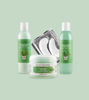 Picture of Christmas Cactus Bundle • Limited Edition Holiday Skincare Set