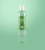 Picture of Christmas Cactus Hand Sanitizer