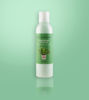 Picture of Christmas Cactus Premium Lotion