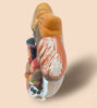 Picture of Cusco Nativity Scene • Christmas Decor Ornaments • Peruvian Handmade